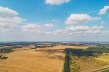 Fototapeta na wymiar Summer rural landscape. Aerial view. View of wheat fields with beautiful sky