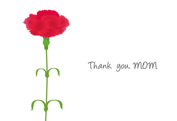 Thank you MOM! Vector illustration of carnation