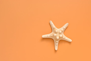 Fototapeta na wymiar Starfish on a pastel peach or yellow background. Top view, flat lay, copy space. Vacation and travel concept.