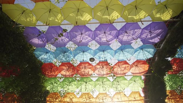 Multi-colored umbrellas in the park of the city.