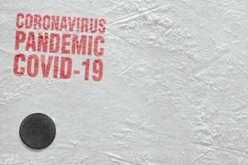 Fragment of a hockey field and puck