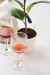 White background, wine glasses and black, strong, morning, fresh coffee in glass container for alternative method preparation.