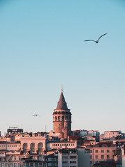 Fototapeta na wymiar Galata tower in Istanbul during sunset