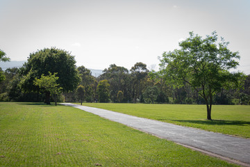 road in the park