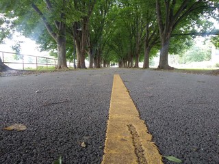 road in the park
