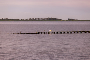 Breakwater entering the sea