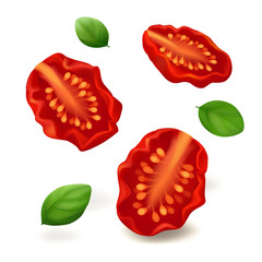 Three sun dried tomatoes with fresh basil leaves flying in the air. Isolated on white background. Realistic vector illustration.