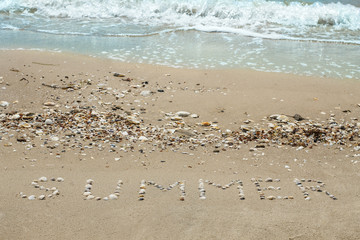 Ocean coast, beach. The inscription 