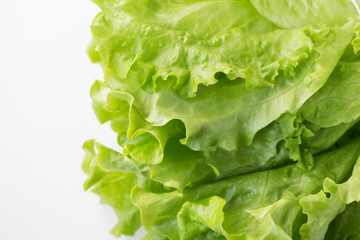 Lettuce on a grey background. Meal close up photo.