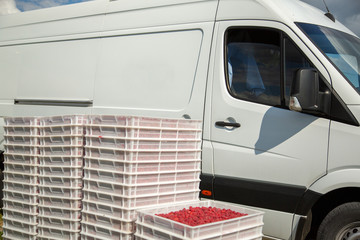 Fototapeta na wymiar Harvesting raspberries. Ripe berries in white plastic crates loaded in a freight car.