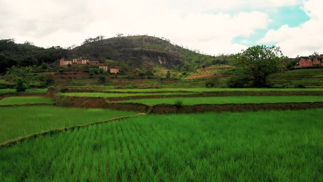 Drone footage over a paddy field near Ambositra with mudbrick buildings in madagascar
