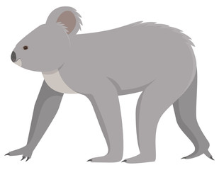 Walking adult koala. Cute animal in cartoon style.