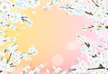Cherry blossom illustration in full bloom against yellow and pink pastel colors.