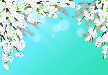Cherry blossom illustration in full bloom against a blue sky.