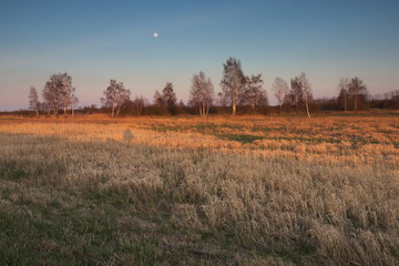 Wieczór na łąkach © Grzegorz