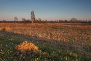 Wieczór na łąkach © Grzegorz