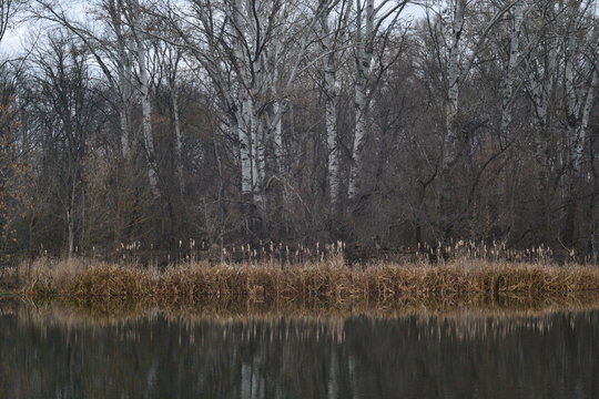 Moody autumn landscape.