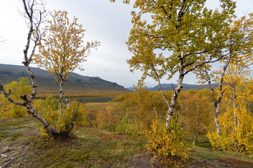 Nikkaluokta, Sweden - september 2019