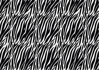 Zebra fur background. Animal skin print, tiger stripes. Abstract pattern, line texture fabric.  Black and white - equidae family vector.
