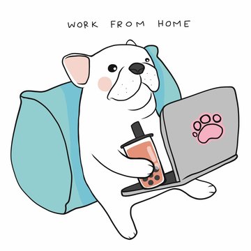 Work from home French bulldog use laptop and drink ice bubble milk tea cartoon vector illustration