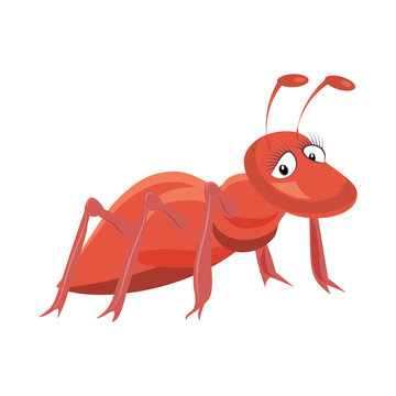 recommend clip art: Illustration of red ant cartoon on white background