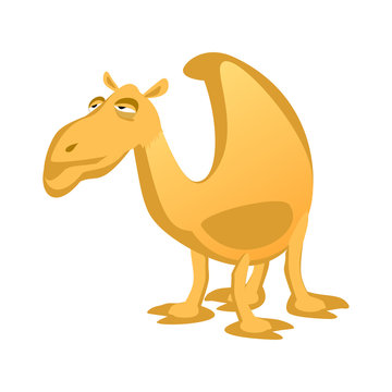 Cartoon camel isolated on a white background.
