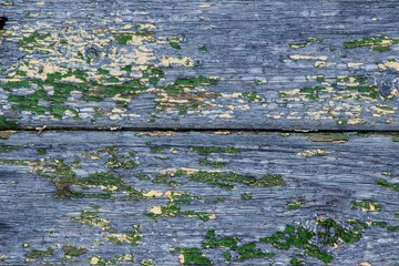 Background with old wood texture with traces of green and yellow paint