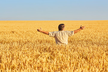Naklejka na ściany i meble Satisfied mature farmer touching with care his ripe wheat field