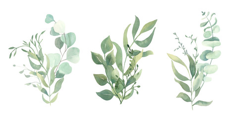 Watercolor green eucalyptus, olive  leaves. Watercolor floral illustration collection  - green leaf branches set for wedding stationary, wallpapers, background,  greetings. 