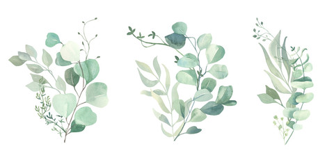 Watercolor green eucalyptus, olive  leaves. Watercolor floral illustration collection  - green leaf branches set for wedding stationary, wallpapers, background,  greetings. 