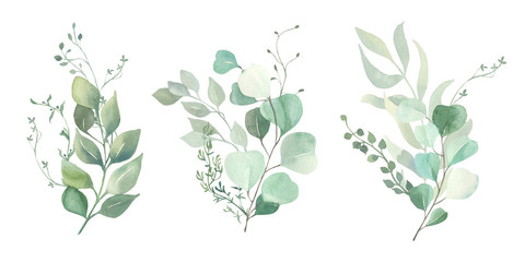 Fototapeta na wymiar Watercolor green eucalyptus, olive leaves. Watercolor floral illustration collection - green leaf branches set for wedding stationary, wallpapers, background, greetings. 