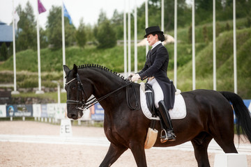 Equestrian sport - dressage