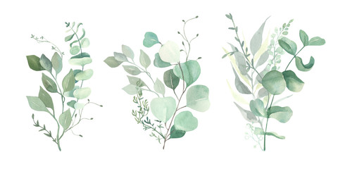 Watercolor green eucalyptus, olive  leaves. Watercolor floral illustration collection  - green leaf branches set for wedding stationary, wallpapers, background,  greetings. 