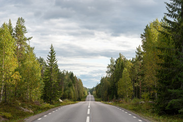 Fototapeta premium Tree-lined road at Silvik, Sweden, with a paved road leading through green forests under a cloudy sky