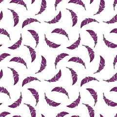 vector seamless pattern of peacock feather in boho style on white background.