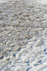 Vereister Naturweg über eine Wiese