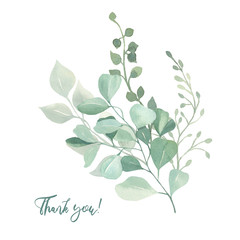 Watercolor green eucalyptus, olive  leaves. Watercolor floral illustration collection  - green leaf branches set for wedding stationary, wallpapers, background,  greetings. 