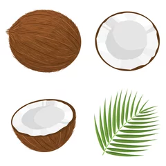 Foto op Canvas Set of exotic whole, half, cut slice coconut fruits and leaves isolated on white background. Summer fruits for healthy lifestyle. Organic fruit. Cartoon style. Vector illustration for any design. © Alody