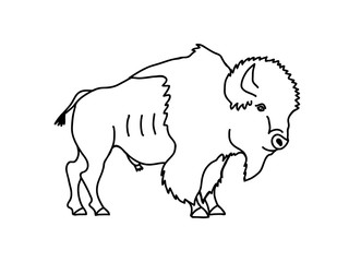 bison outline