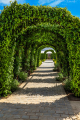 Green garden arches in old garden. Shadow archway