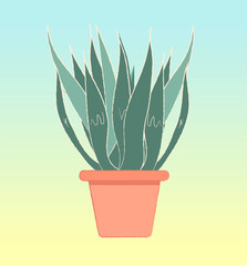 Summer bright background. Decorative flowers. Beauty style. Drawing flowers.