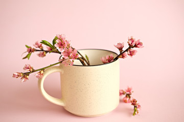 Obraz na płótnie Canvas Spring flowering peach branch in mug on pink background