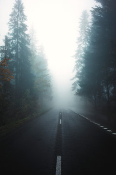 Foggy road in misty forest in Poland