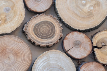 Background image. Rings of trees attached to wall.