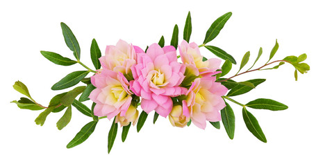 Pink calanchoe flowers and green decorative leaves in a floral arrangement