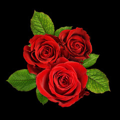 Red rose flowers in a floral arrangement