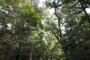 伊勢神宮内宮