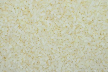 white rice background