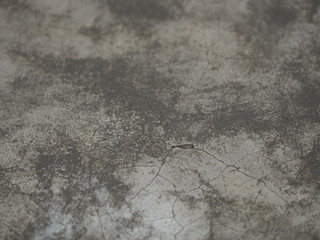 Cracks on the Cement wall has gray color and smooth abstract surface texture concrete