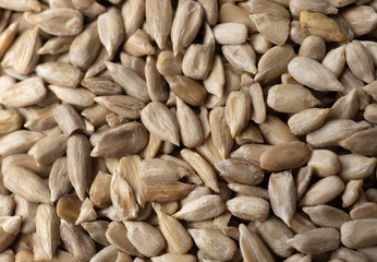Sunflower Seeds Texture. Macro Background.